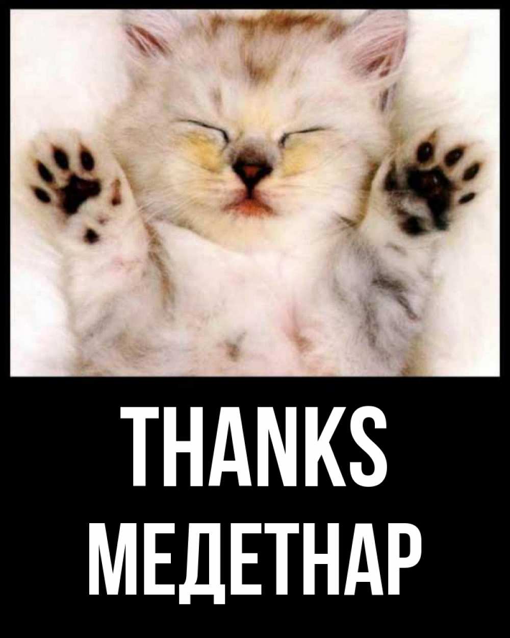 Greetings card с именем, МЕДЕТНАР Thanks маленький котенок Greetings with text for free download 