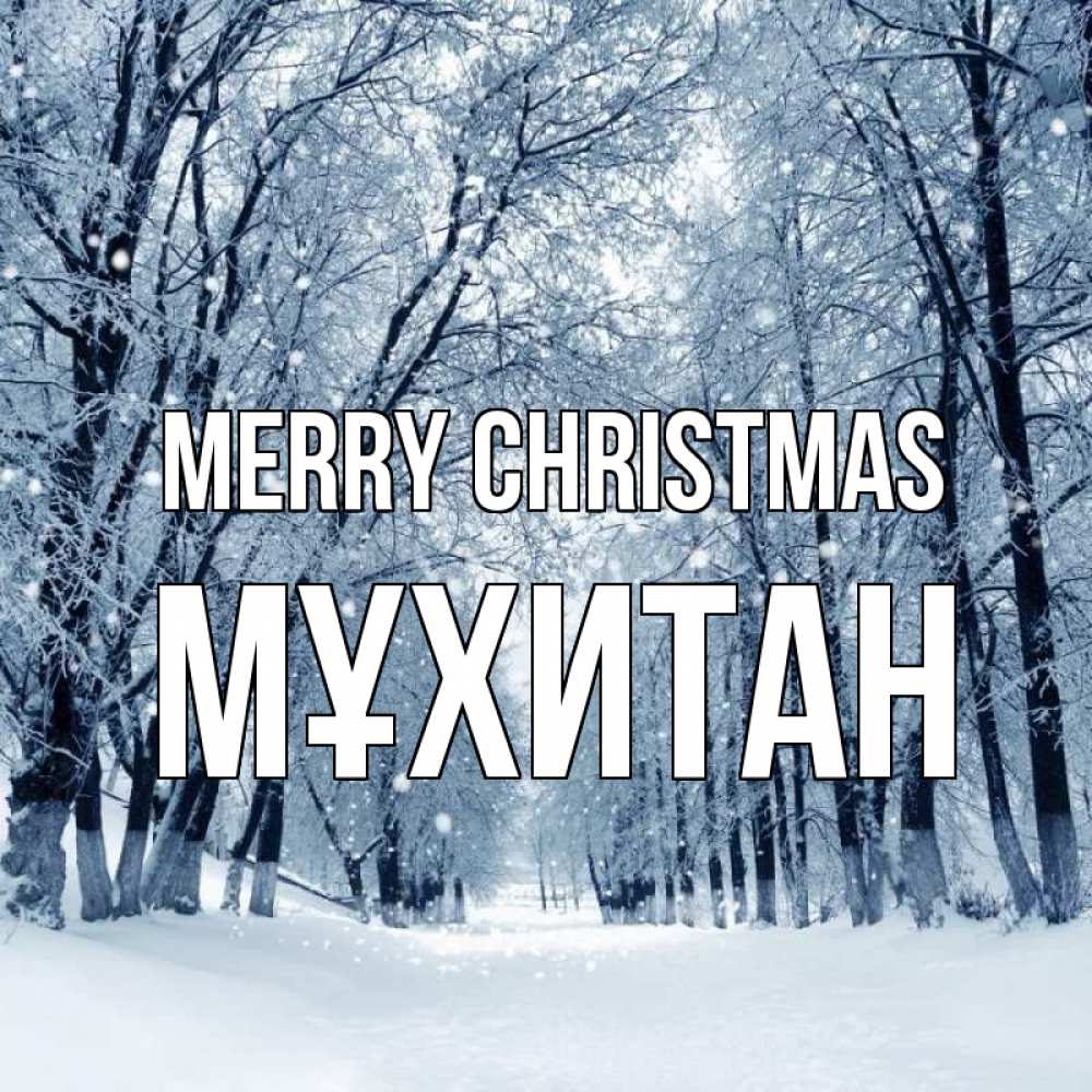 Greetings card с именем, МҰХИТАН Merry Christmas снег, лес, парк Greetings with text for free download 