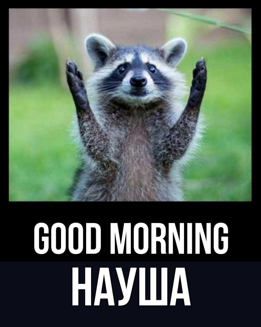 Greetings card с именем, НАУША Good morning хорошее настроение утречком Greetings with text for free download 