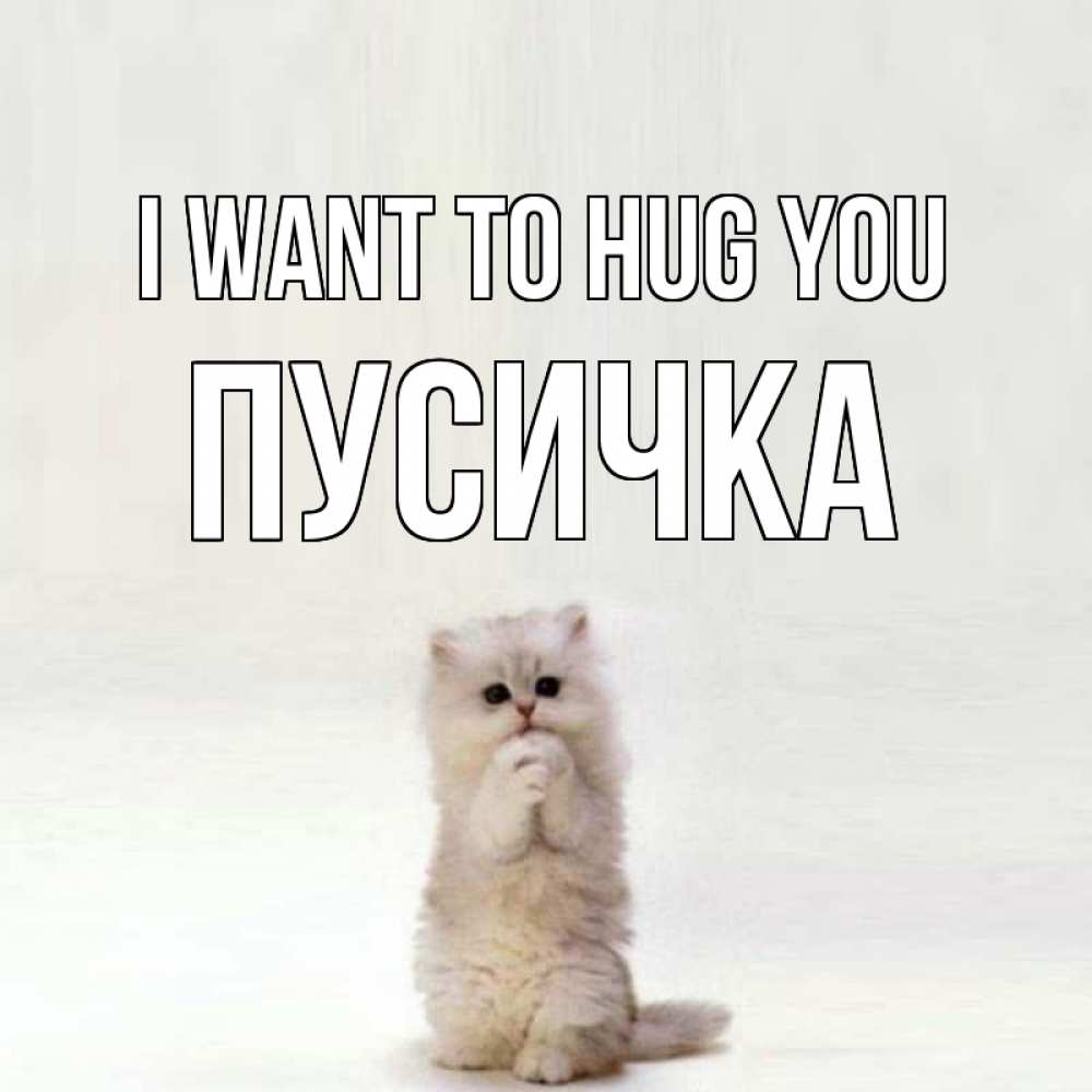 Greetings card с именем, Пусичка I want to hug you открытки с креативными подписями Greetings with text for free download 