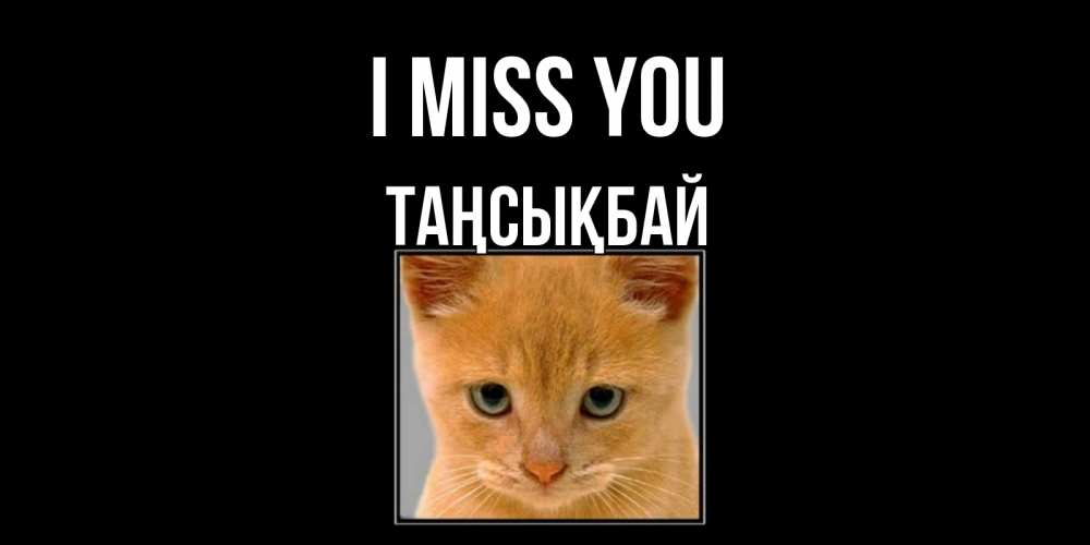 Greetings card с именем, ТАҢСЫҚБАЙ I miss you открытки рыжий котенок скучает по тебе Greetings with text for free download 