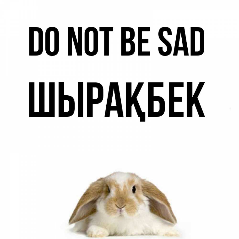 Greetings card с именем, ШЫРАҚБЕК Do not be sad коричнево белый заяц с большими ушками Greetings with text for free download 