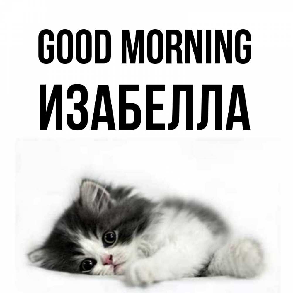 Greetings card с именем, Изабелла Good morning кот лапки Greetings with text for free download 