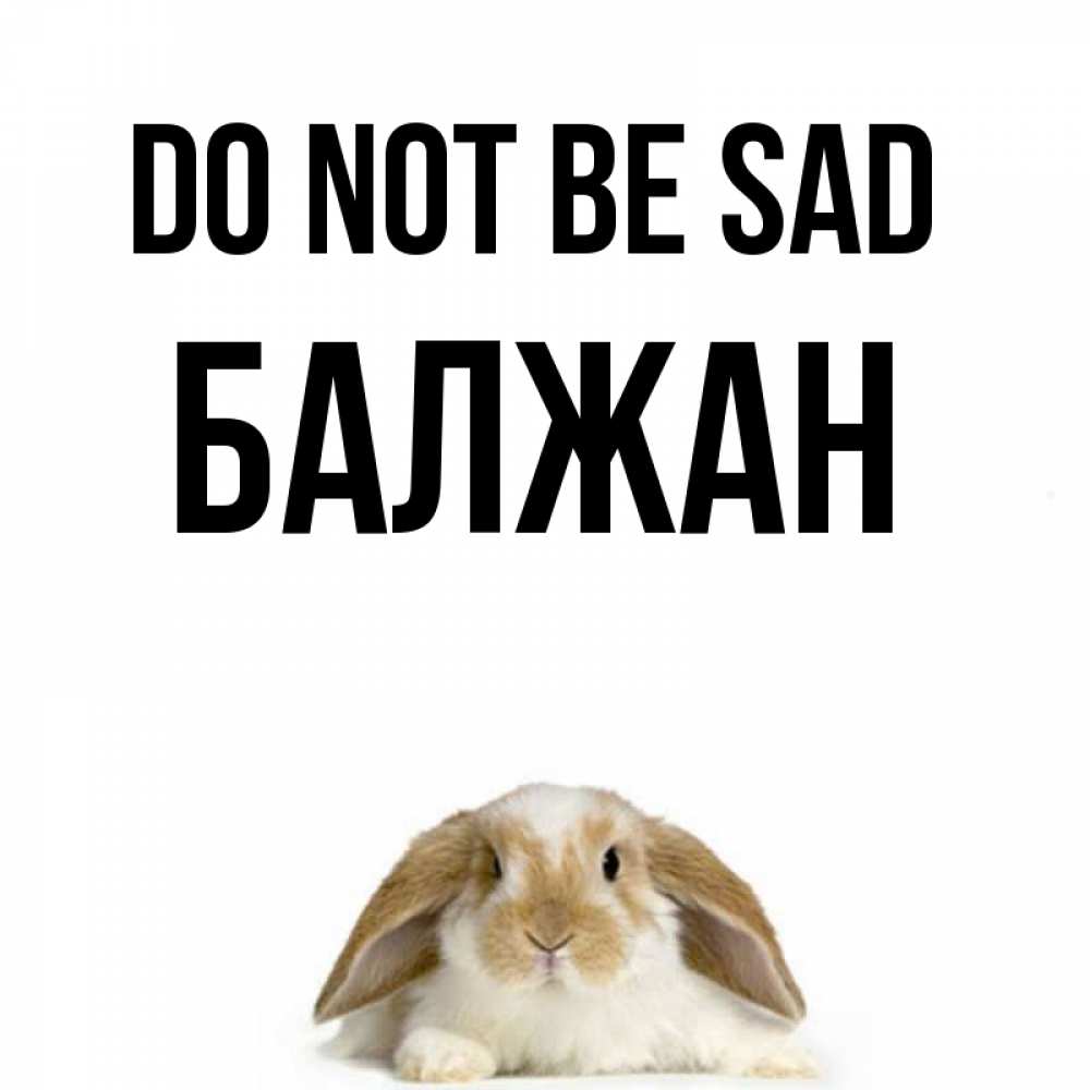 Greetings card с именем, БАЛЖАН Do not be sad коричнево белый заяц с большими ушками Greetings with text for free download 