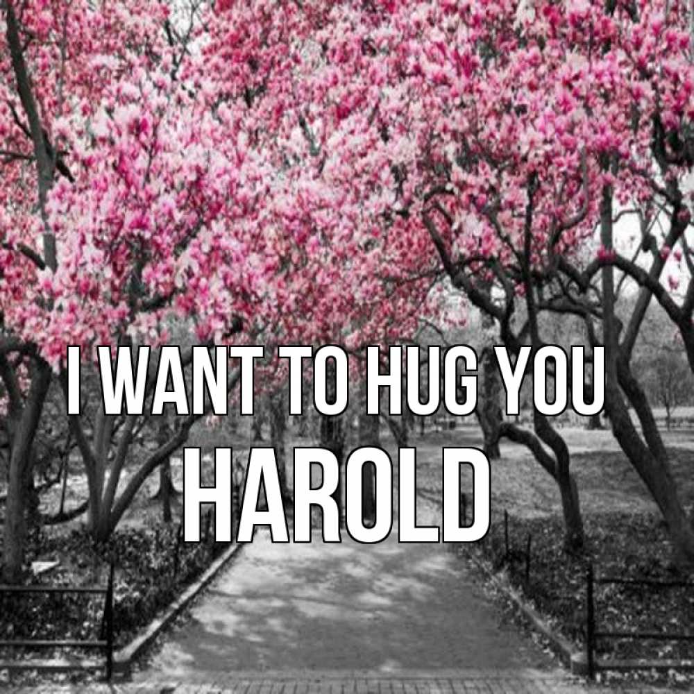 Greetings card с именем, Harold I want to hug you обработанное фото Greetings with text for free download 