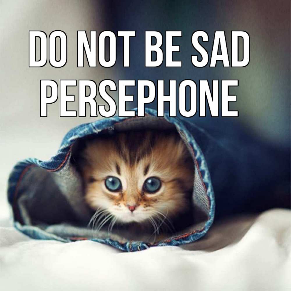 Greetings card с именем, Persephone Do not be sad рыжик котик Greetings with text for free download 