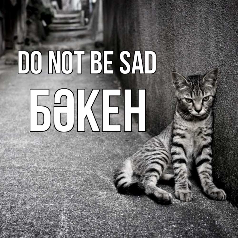 Greetings card с именем, Бәкен Do not be sad скучающий котик Greetings with text for free download 