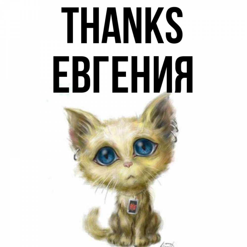 Greetings card с именем, Евгения Thanks рисованный кот благодарит вас Greetings with text for free download 