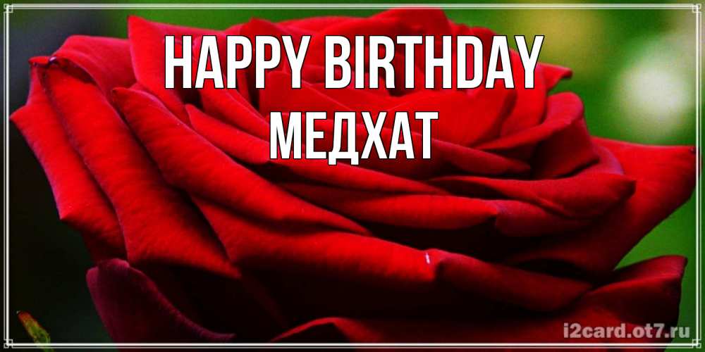Greetings card с именем, МЕДХАТ Happy Birthday розочка очень красивая Greetings with text for free download 