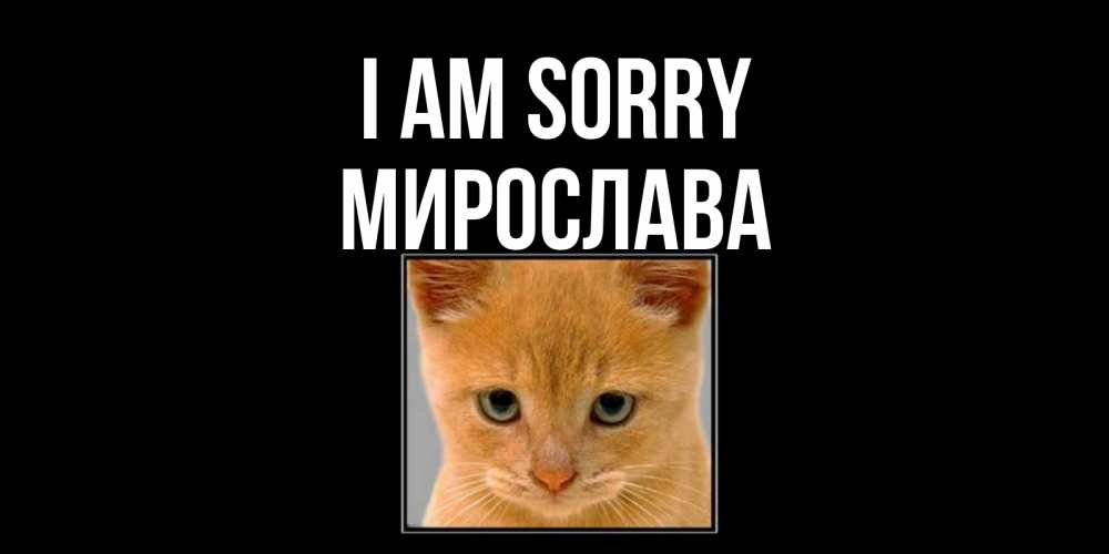 Greetings card с именем, Мирослава I am sorry рыжий грустный кот просит прощения Greetings with text for free download 