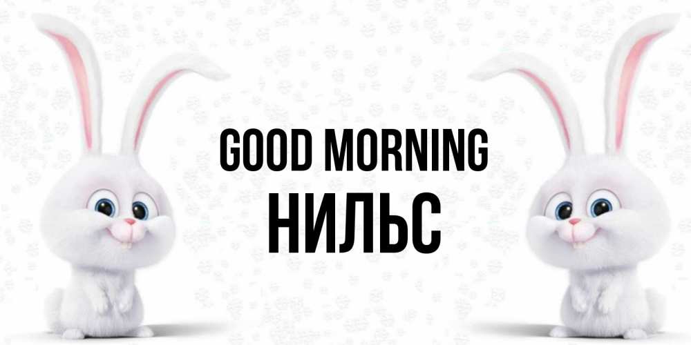 Greetings card с именем, Нильс Good morning кролики с длинными ушками Greetings with text for free download 