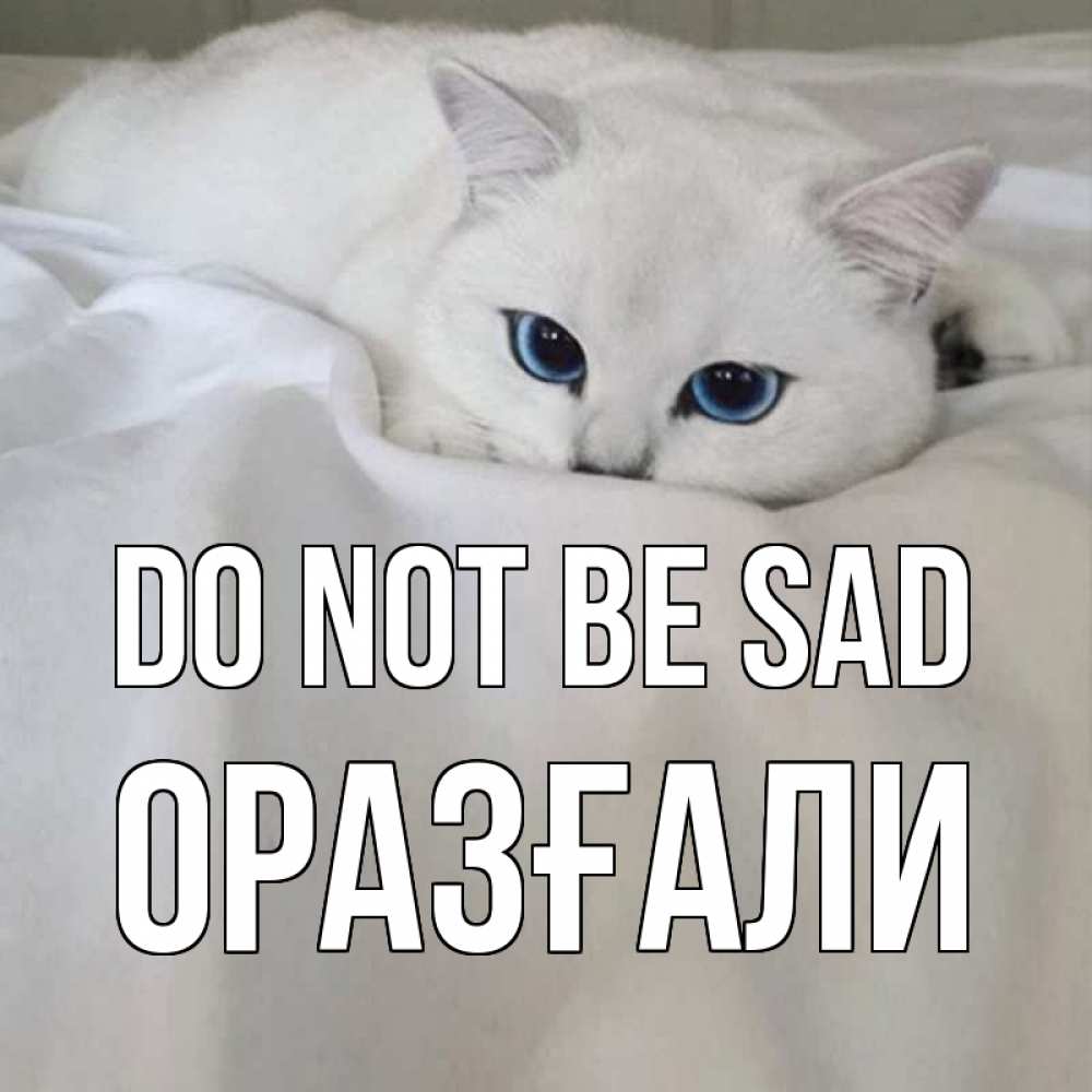 Greetings card с именем, ОРАЗҒАЛИ Do not be sad белый кот с голубыми глазами на белоснежной кровати Greetings with text for free download 