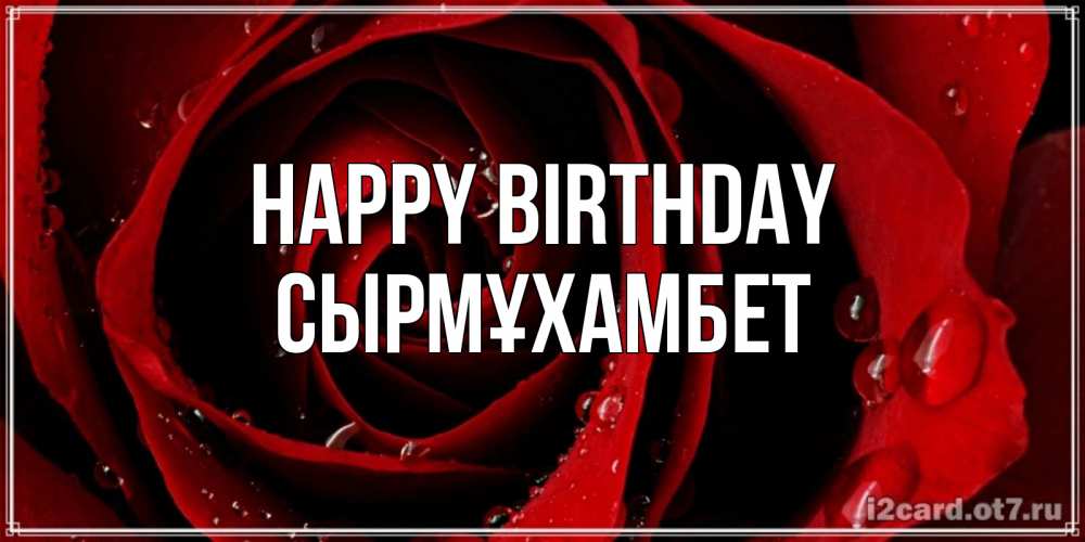 Greetings card с именем, СЫРМҰХАМБЕТ Happy Birthday крупная бордовая роза Greetings with text for free download 