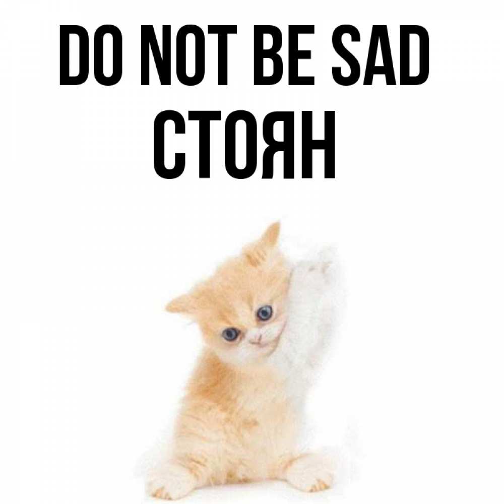Greetings card с именем, Стоян Do not be sad просящий кот Greetings with text for free download 