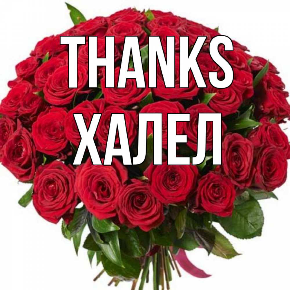 Greetings card с именем, ХАЛЕЛ Thanks букет красных роз Greetings with text for free download 