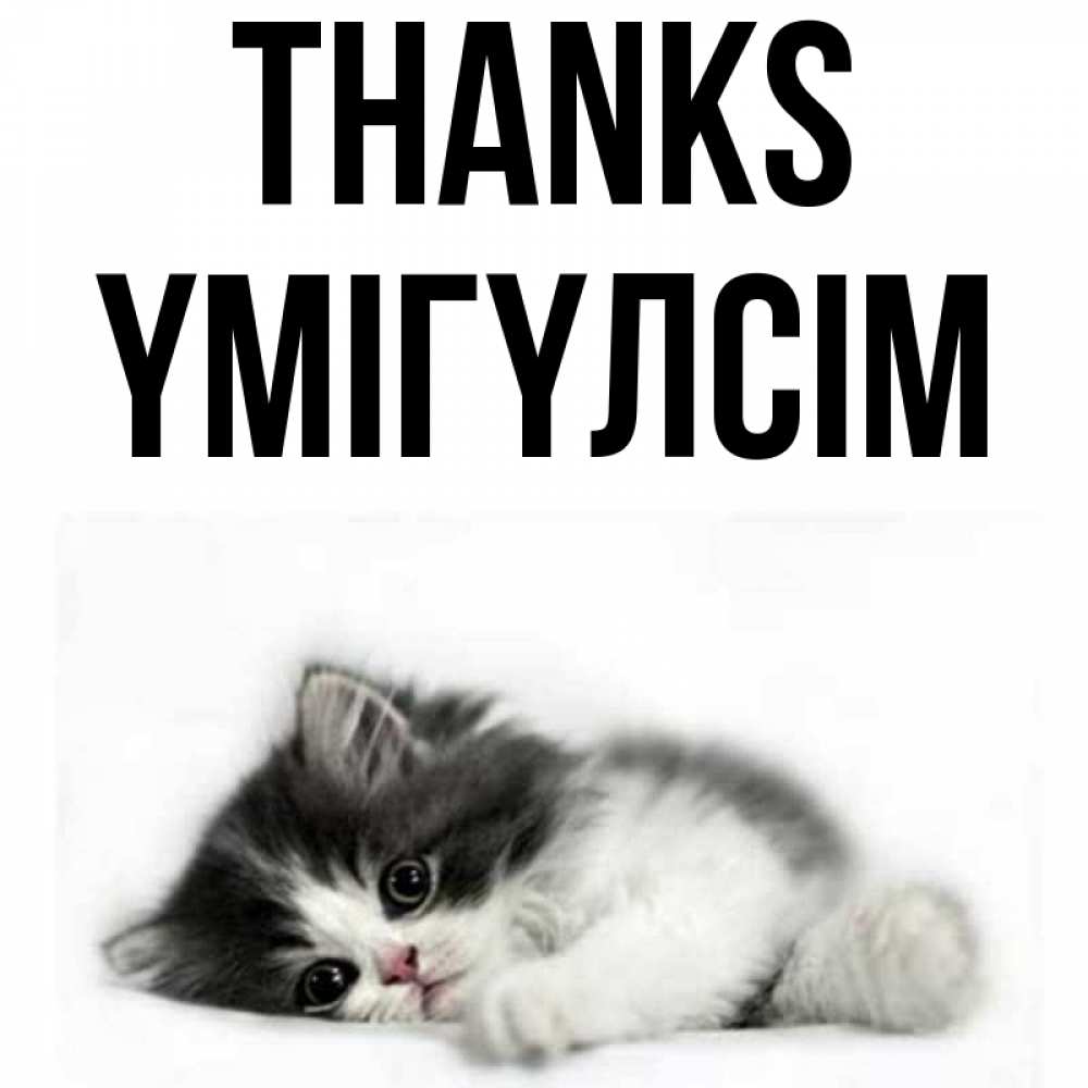 Greetings card с именем, ҮМІГҮЛСІМ Thanks черный и белый кот Greetings with text for free download 