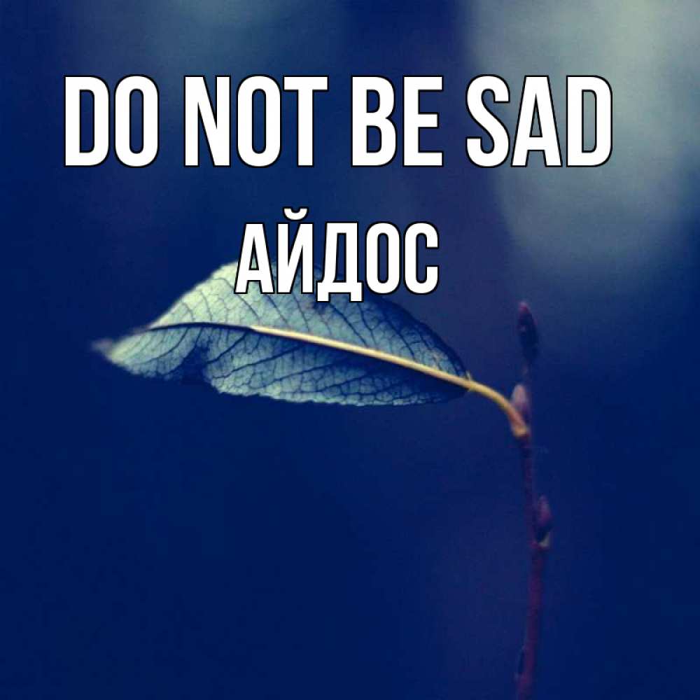 Greetings card с именем, Айдос Do not be sad растение Greetings with text for free download 
