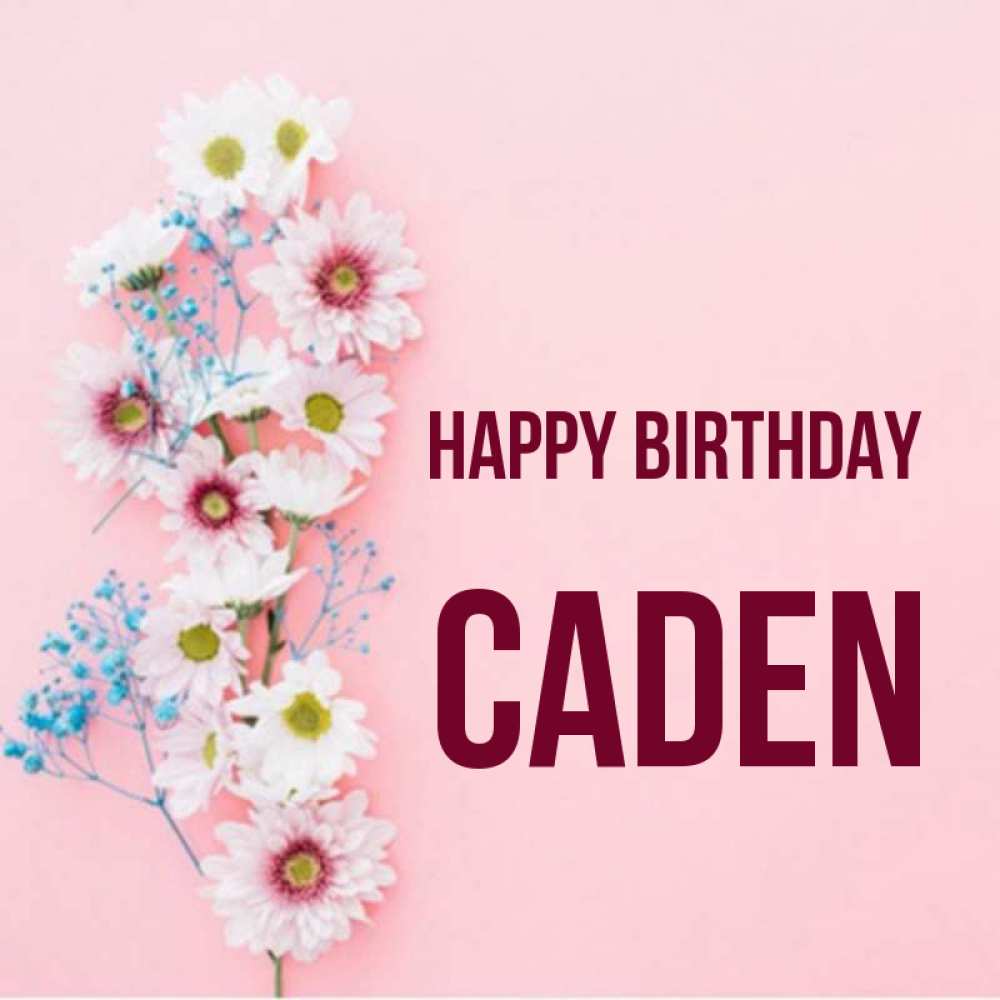 Greetings card с именем, Caden Happy Birthday Родная моя с днем рождения тебя картинка с цветами белыми и голубыми Greetings with text for free download 