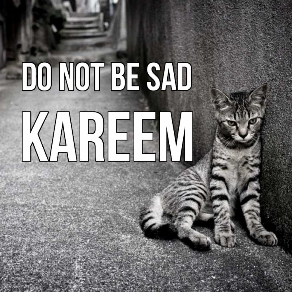 Greetings card с именем, Kareem Do not be sad скучающий котик Greetings with text for free download 