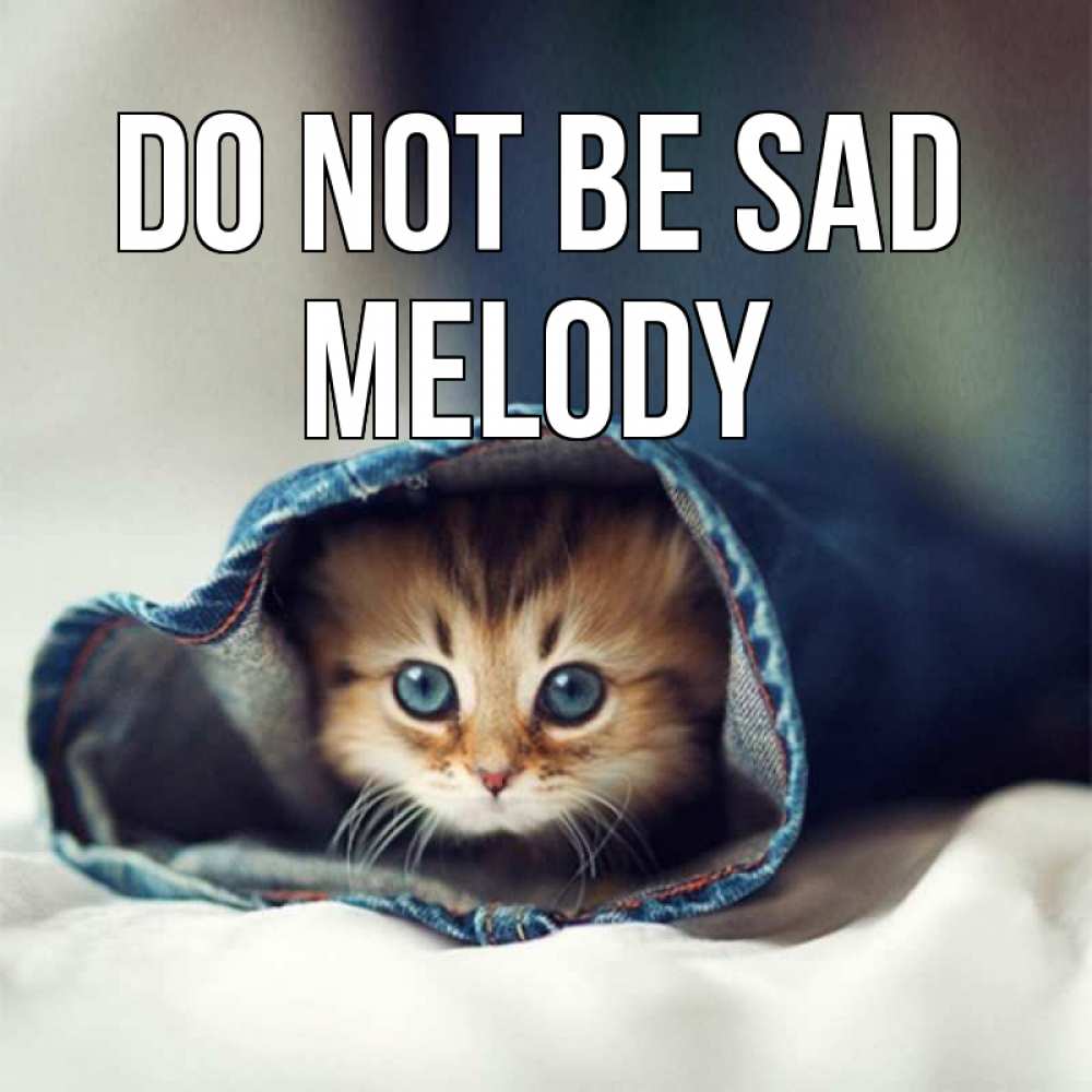 Greetings card с именем, Melody Do not be sad кот в одежде Greetings with text for free download 