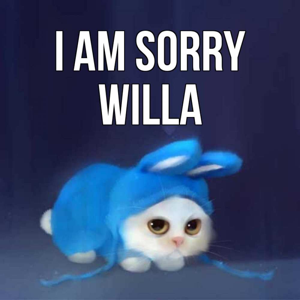Greetings card с именем, Willa I am sorry невинный котозай просит прощения Greetings with text for free download 