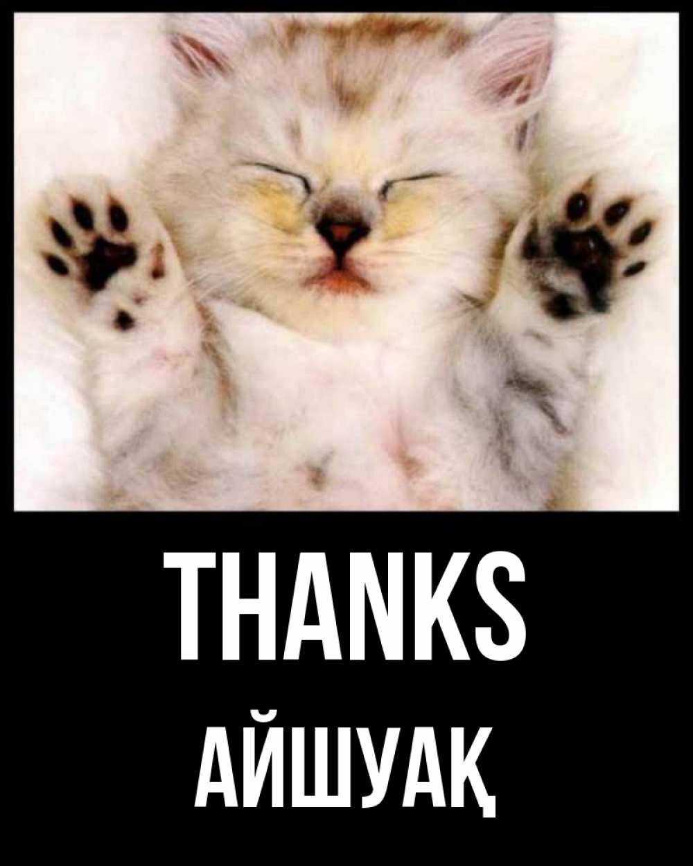 Greetings card с именем, Айшуақ Thanks маленький котенок Greetings with text for free download 
