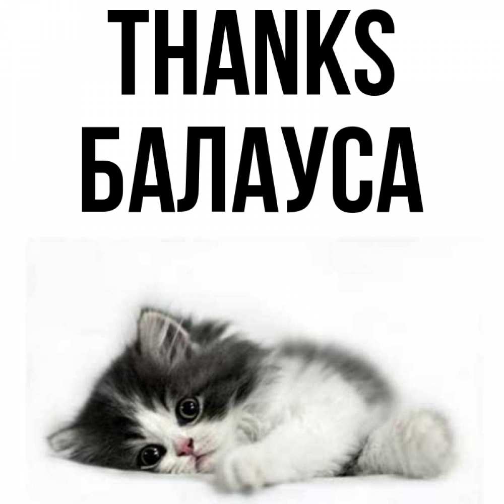 Greetings card с именем, БАЛАУСА Thanks черный и белый кот Greetings with text for free download 