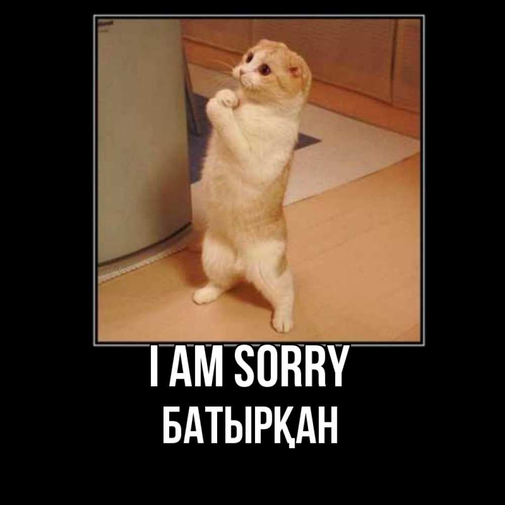Greetings card с именем, Батырқан I am sorry открытка с милым несчастным котиком просящим прощения Greetings with text for free download 