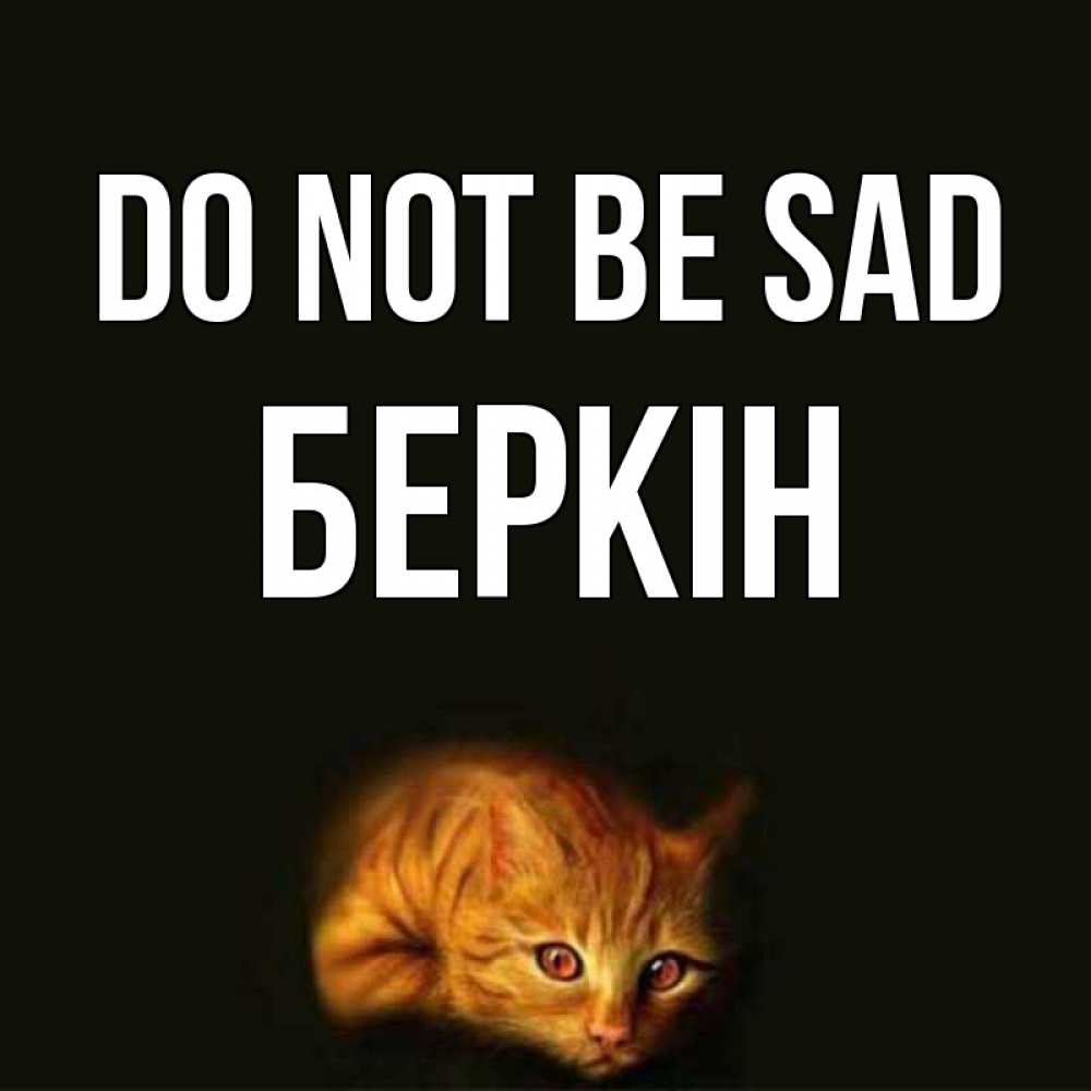 Greetings card с именем, Беркін Do not be sad лежащий кот в темноте Greetings with text for free download 