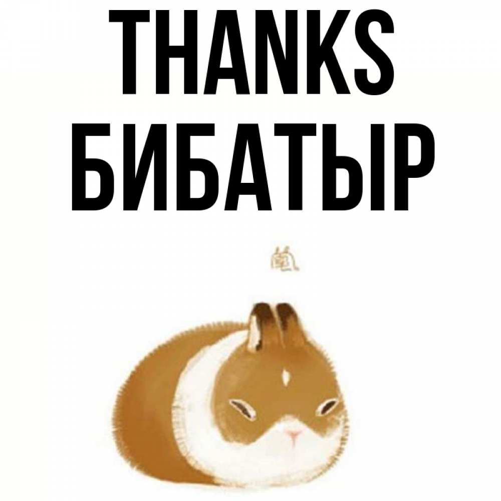 Greetings card с именем, Бибатыр Thanks коричнево белый домашний питомец Greetings with text for free download 