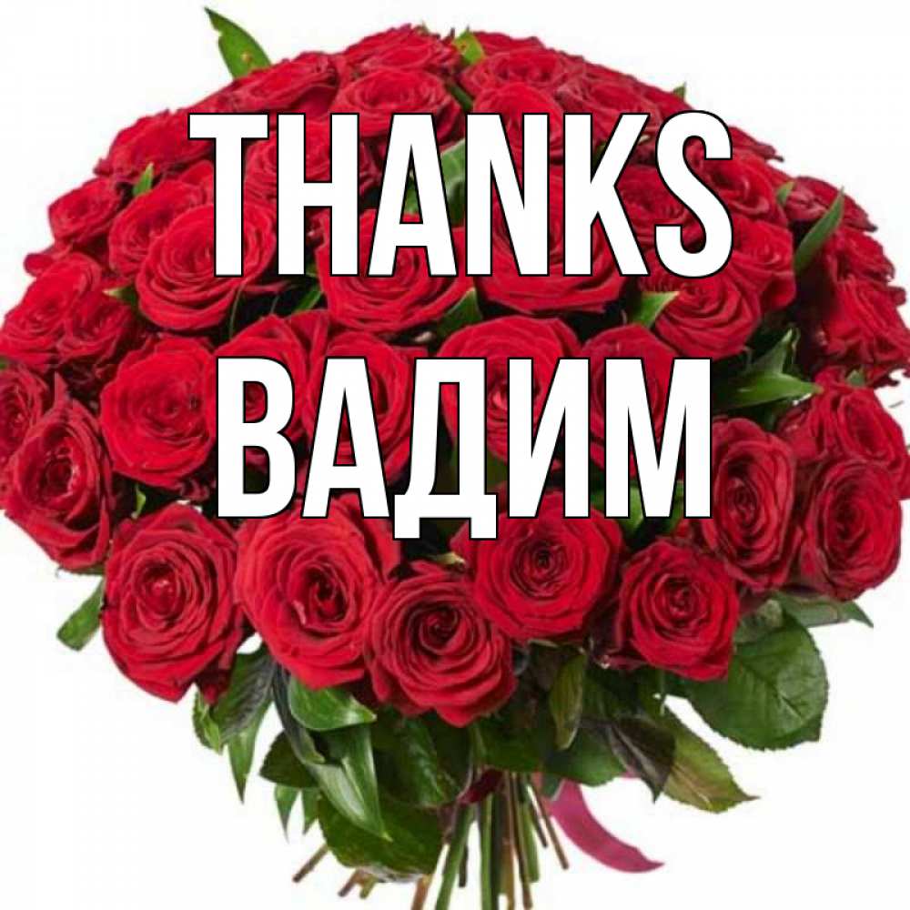 Greetings card с именем, Вадим Thanks букет красных роз Greetings with text for free download 