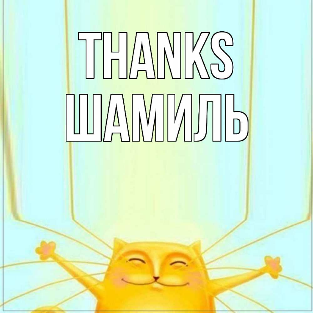 Greetings card с именем, Шамиль Thanks кот с усами благодарит Greetings with text for free download 