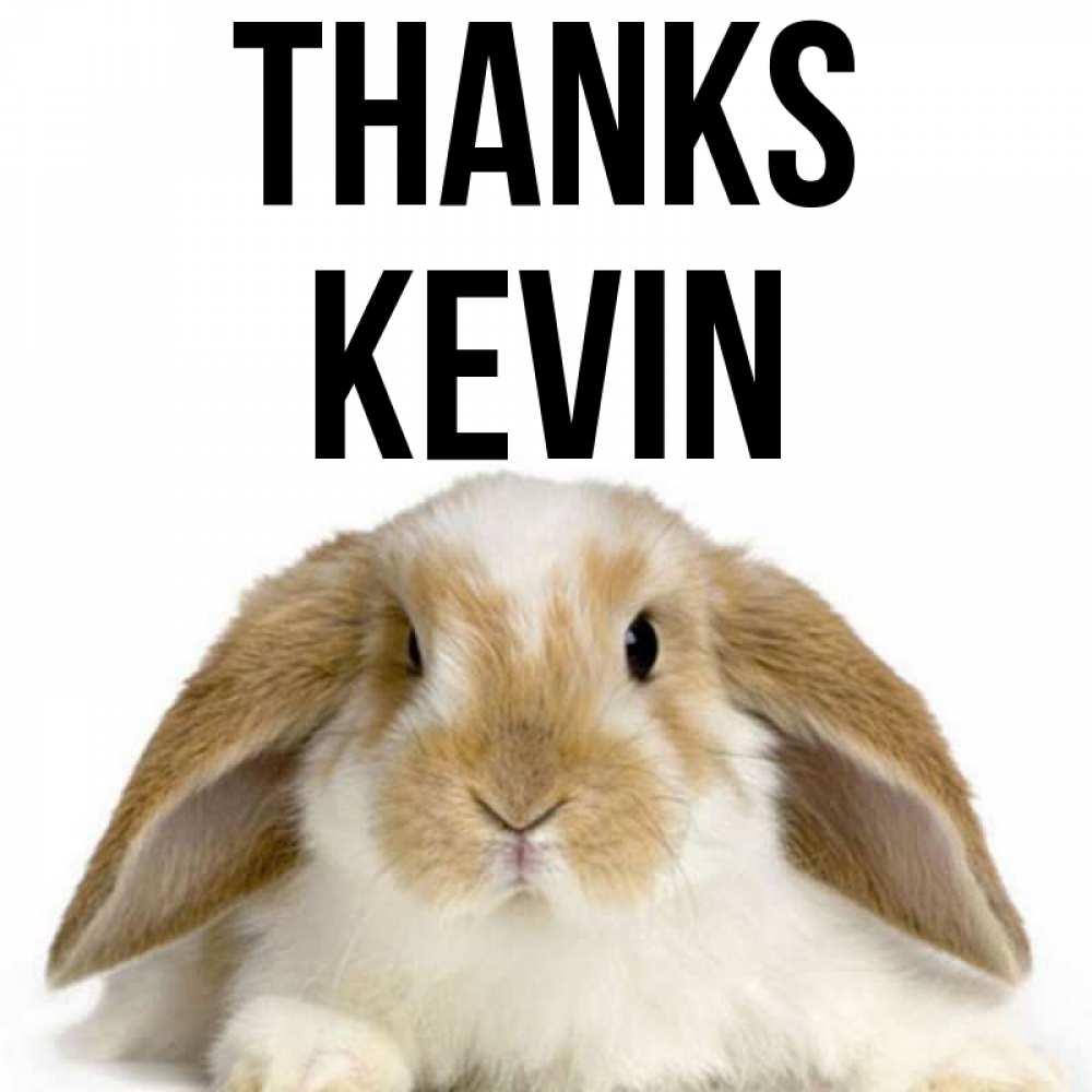 Greetings card с именем, Kevin Thanks коричнево белый заяц Greetings with text for free download 