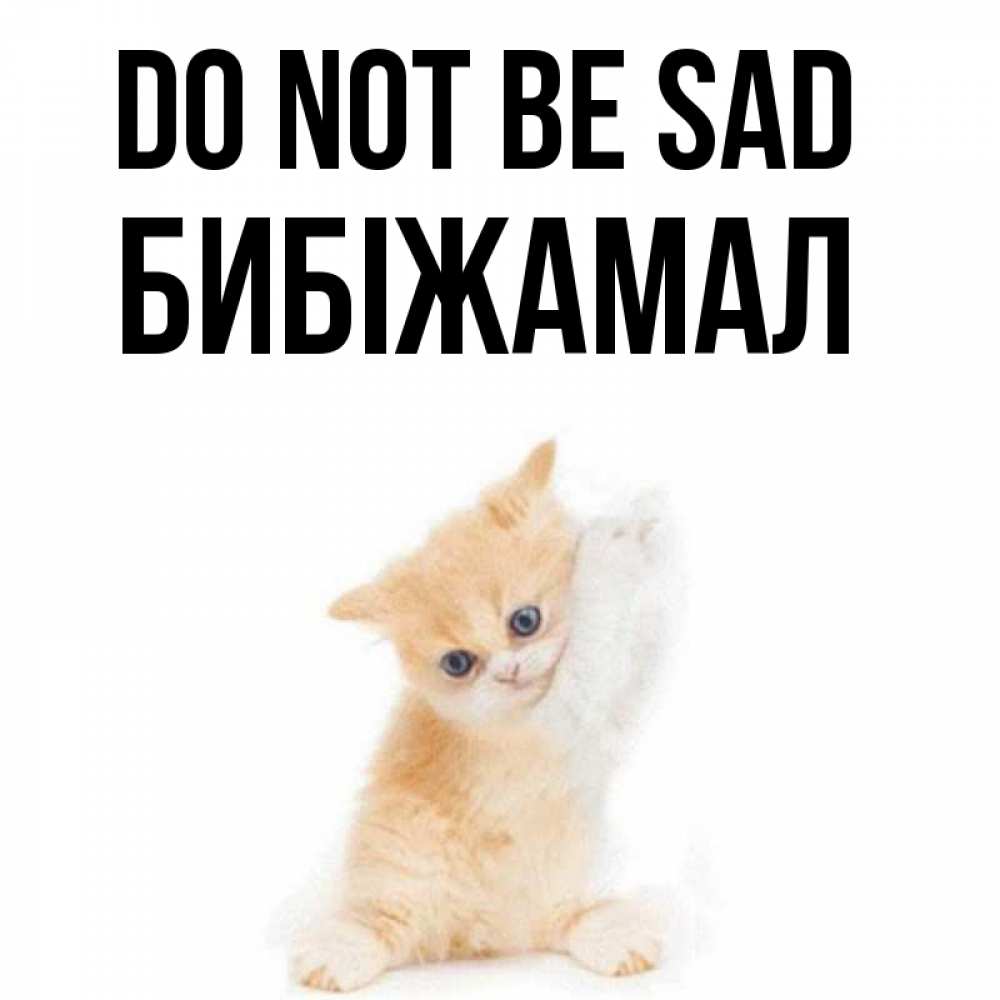 Greetings card с именем, БИБІЖАМАЛ Do not be sad просящий кот Greetings with text for free download 