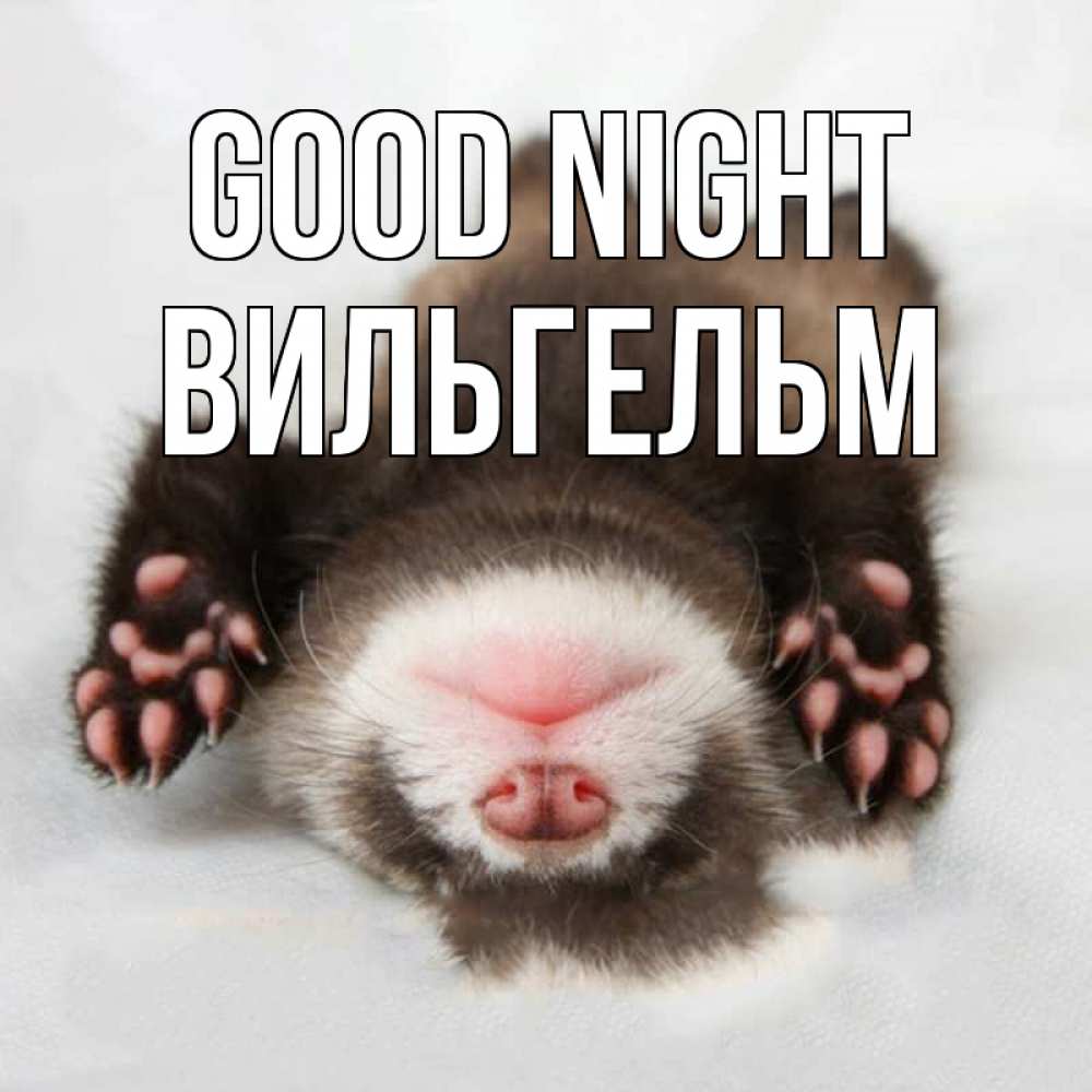 Greetings card с именем, Вильгельм Good night зверек Greetings with text for free download 