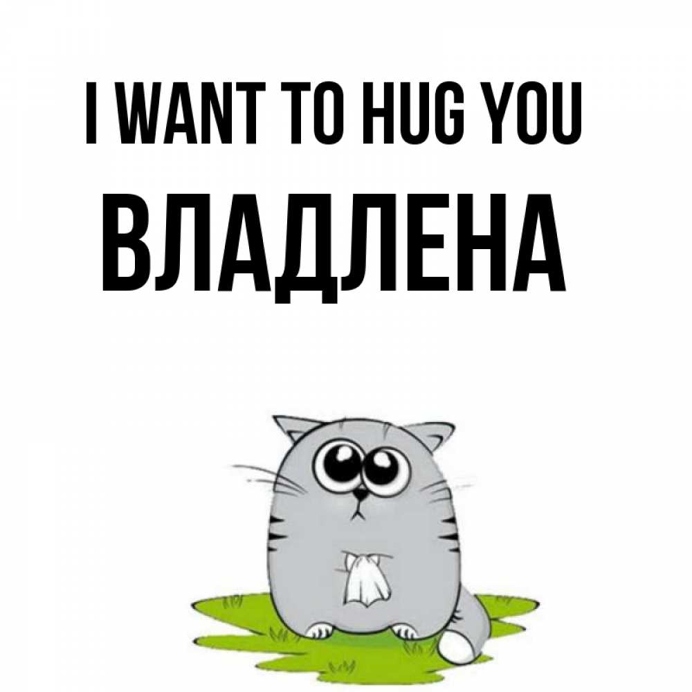 Greetings card с именем, Владлена I want to hug you котик теребит платочек сидя на травке Greetings with text for free download 