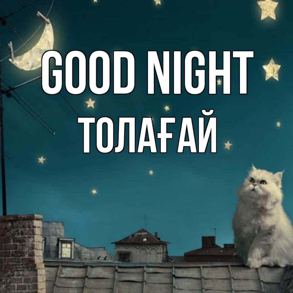 Greetings card с именем, ТОЛАҒАЙ Good night белый кот сидит на крыше Greetings with text for free download 