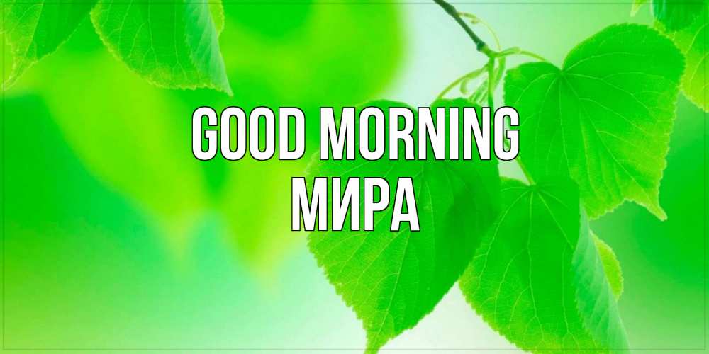 Greetings card с именем, МИРА Good morning доброе утро с березовыми листьями Greetings with text for free download 