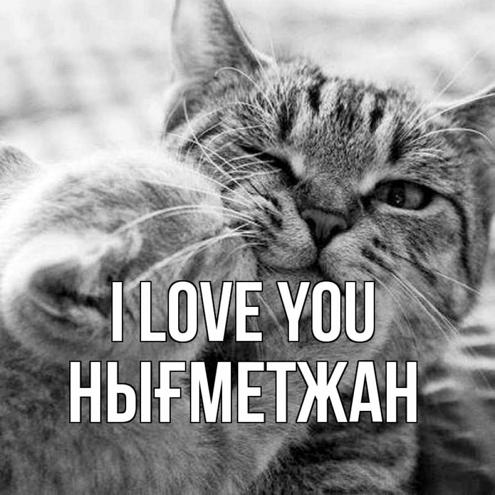 Greetings card с именем, НЫҒМЕТЖАН I love you коты Greetings with text for free download 