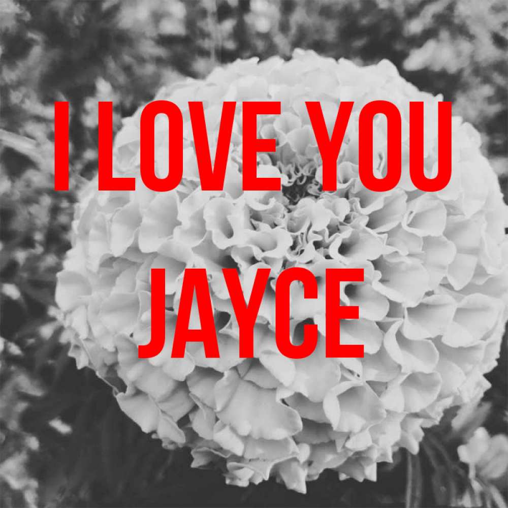 Greetings card с именем, Jayce I love you подпись Greetings with text for free download 