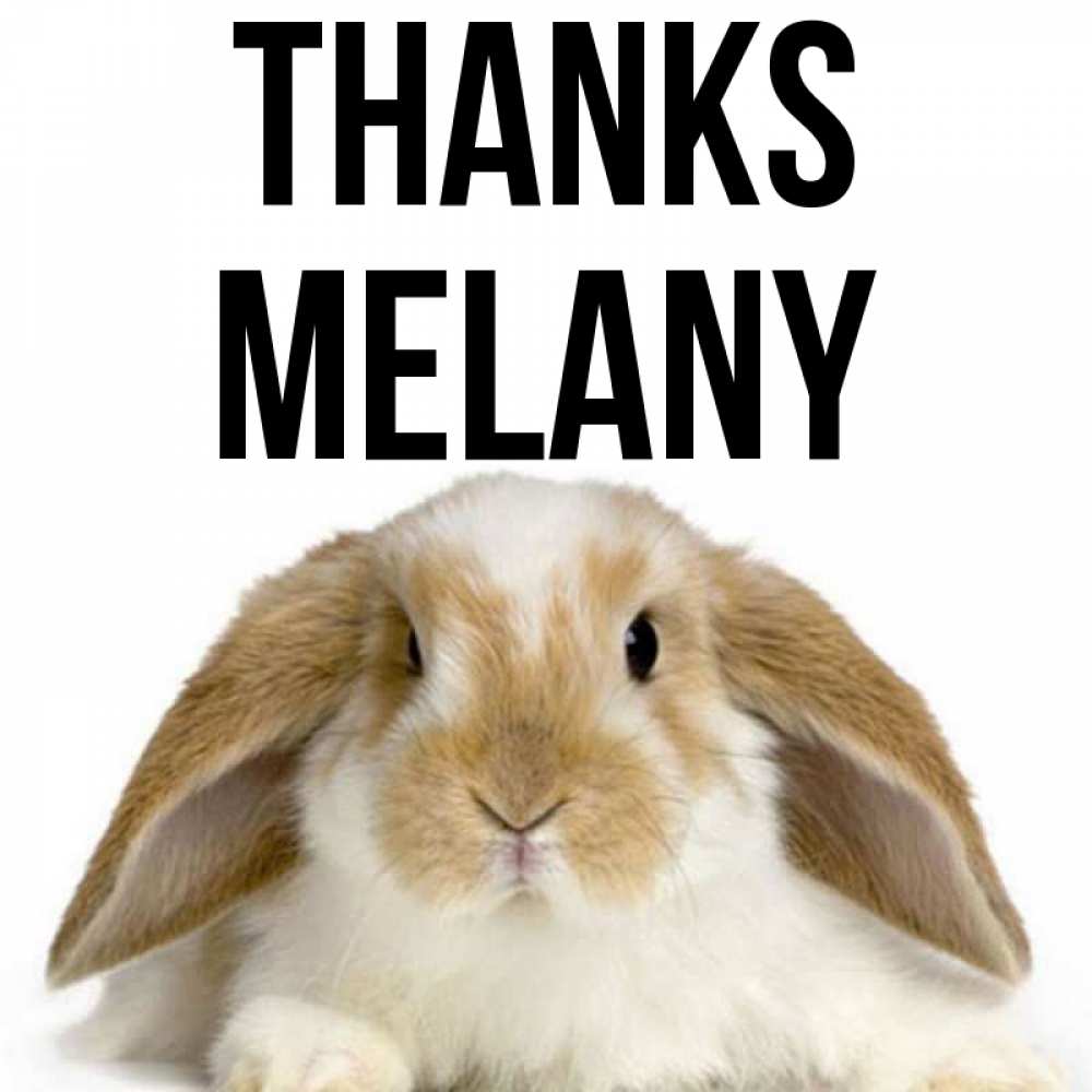 Greetings card с именем, Melany Thanks коричнево белый заяц Greetings with text for free download 