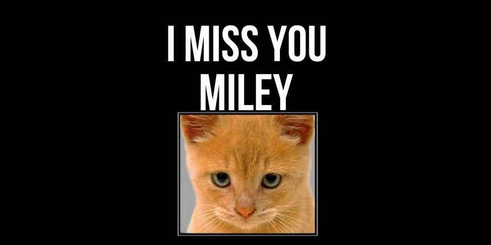 Greetings card с именем, Miley I miss you открытки рыжий котенок скучает по тебе Greetings with text for free download 