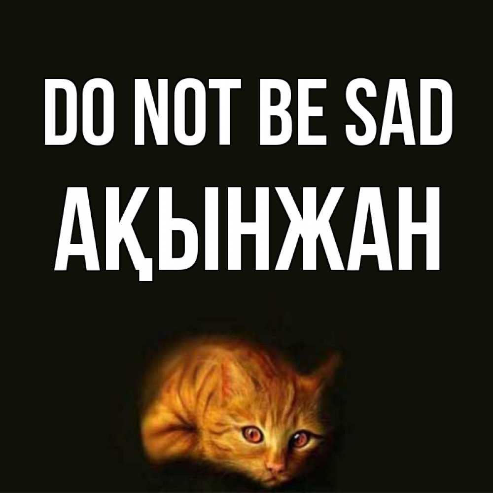 Greetings card с именем, Ақынжан Do not be sad лежащий кот в темноте Greetings with text for free download 