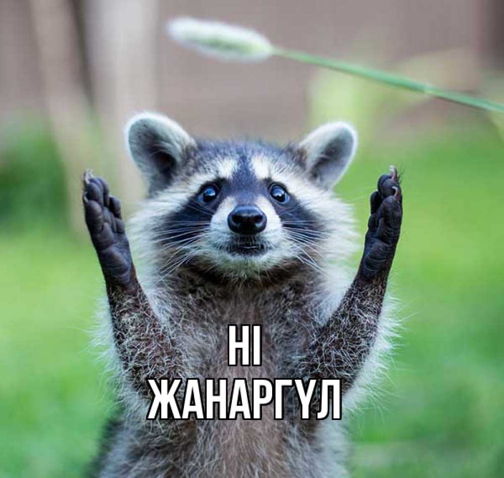 Greetings card с именем, ЖАНАРГҮЛ Hi животные Greetings with text for free download 