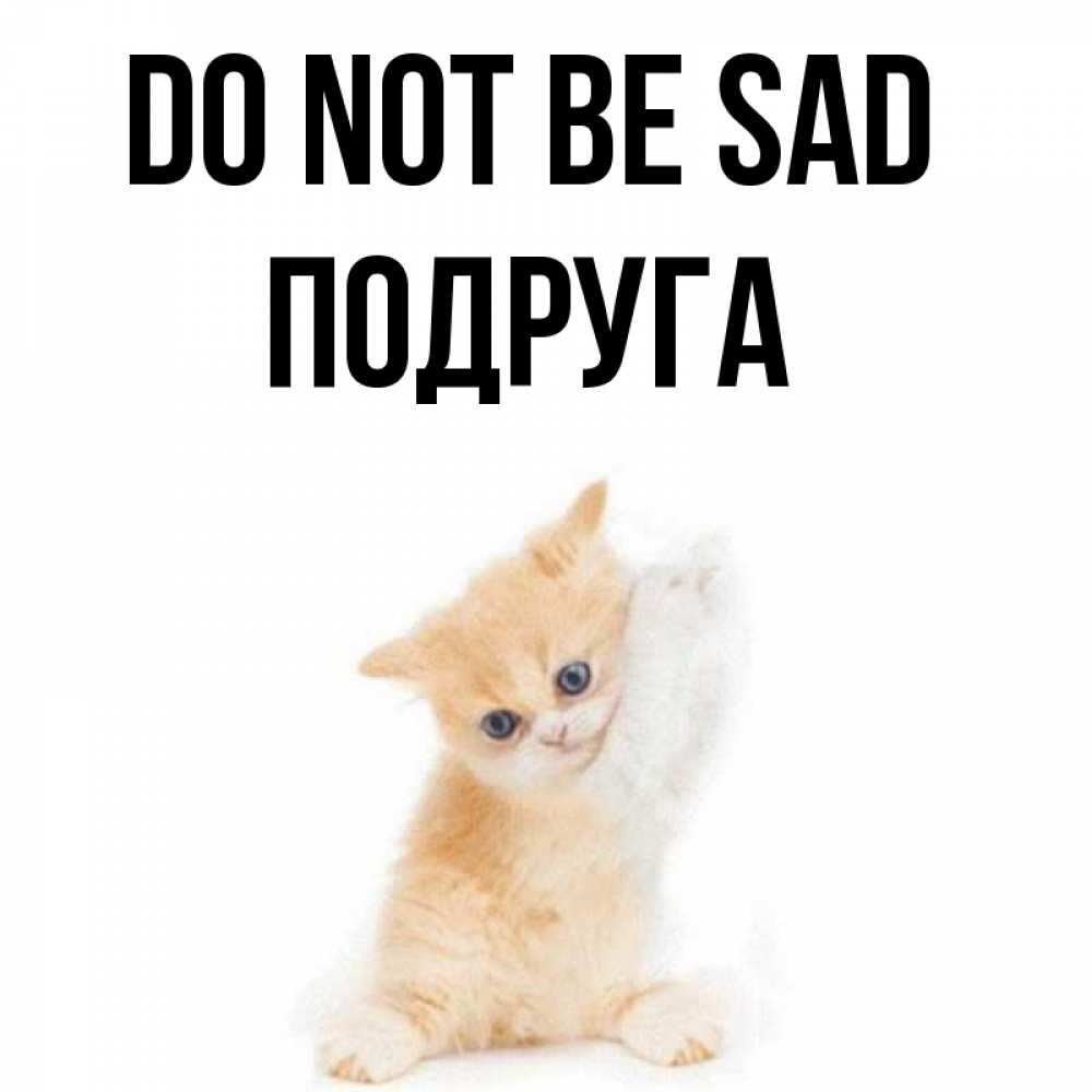 Greetings card с именем, Подруга Do not be sad просящий кот Greetings with text for free download 
