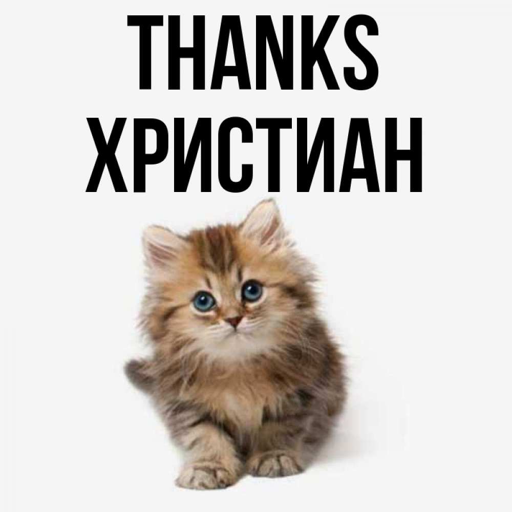 Greetings card с именем, Христиан Thanks пушистый котик Greetings with text for free download 