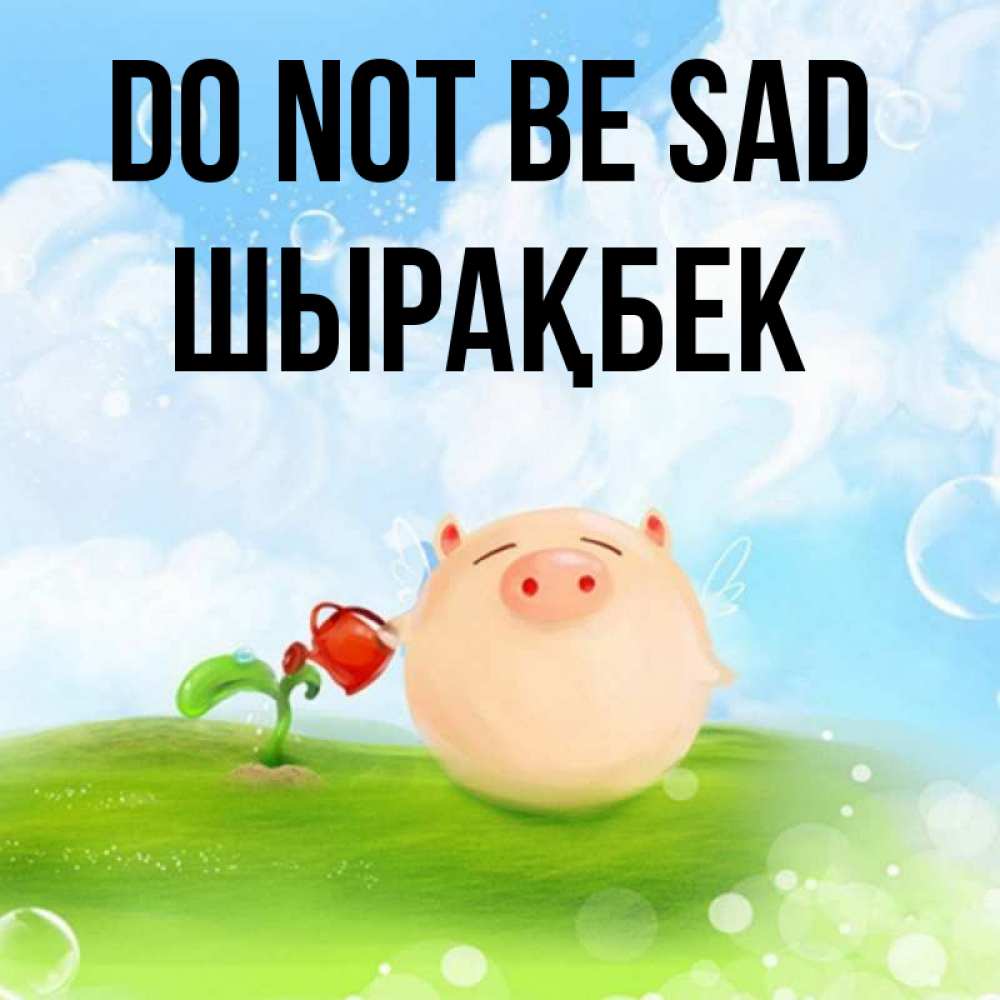Greetings card с именем, ШЫРАҚБЕК Do not be sad поливает цветок порося Greetings with text for free download 