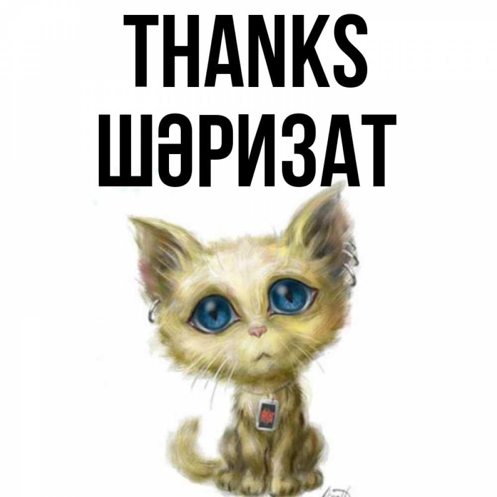 Greetings card с именем, ШӘРИЗАТ Thanks рисованный кот благодарит вас Greetings with text for free download 