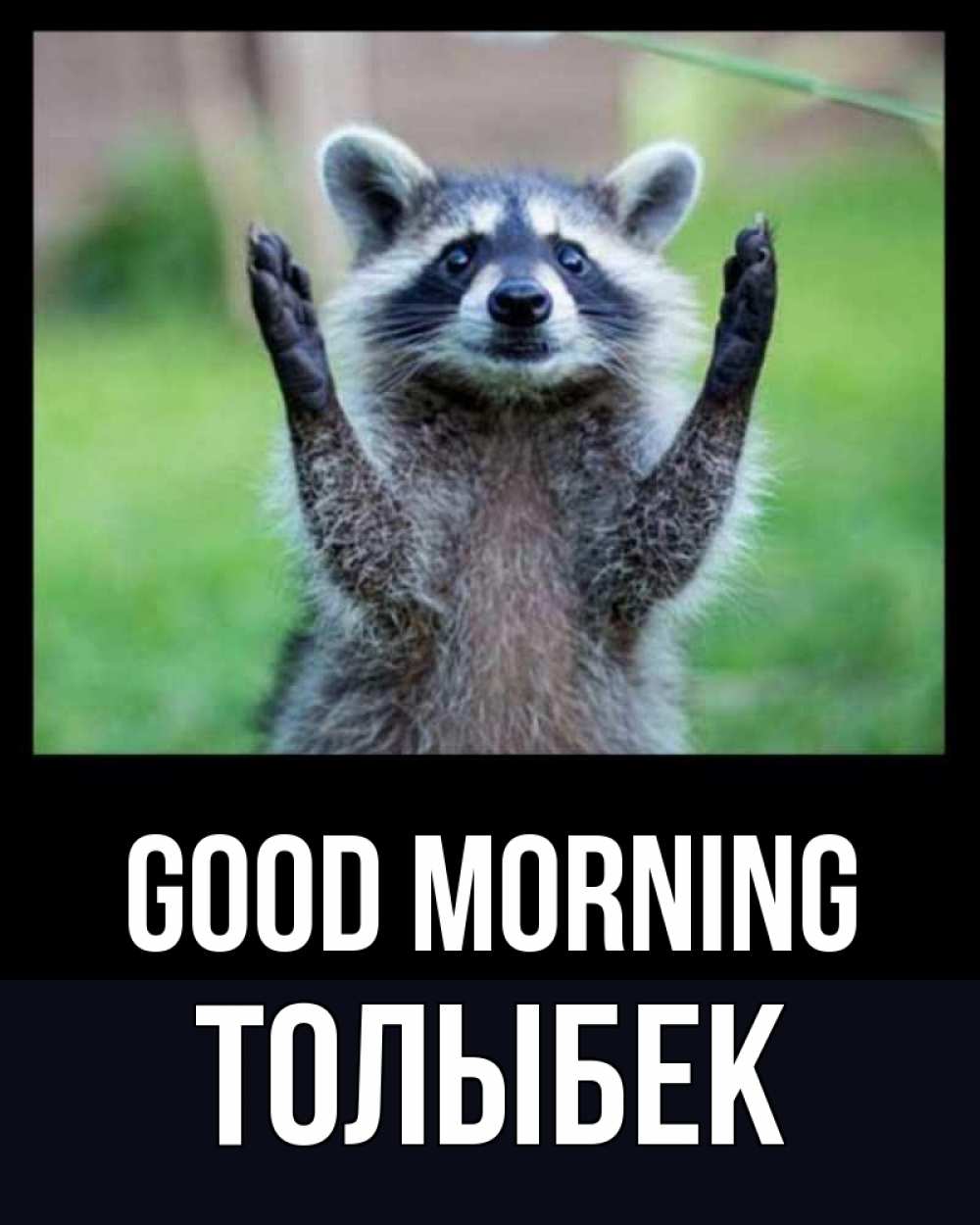 Greetings card с именем, ТОЛЫБЕК Good morning хорошее настроение утречком Greetings with text for free download 