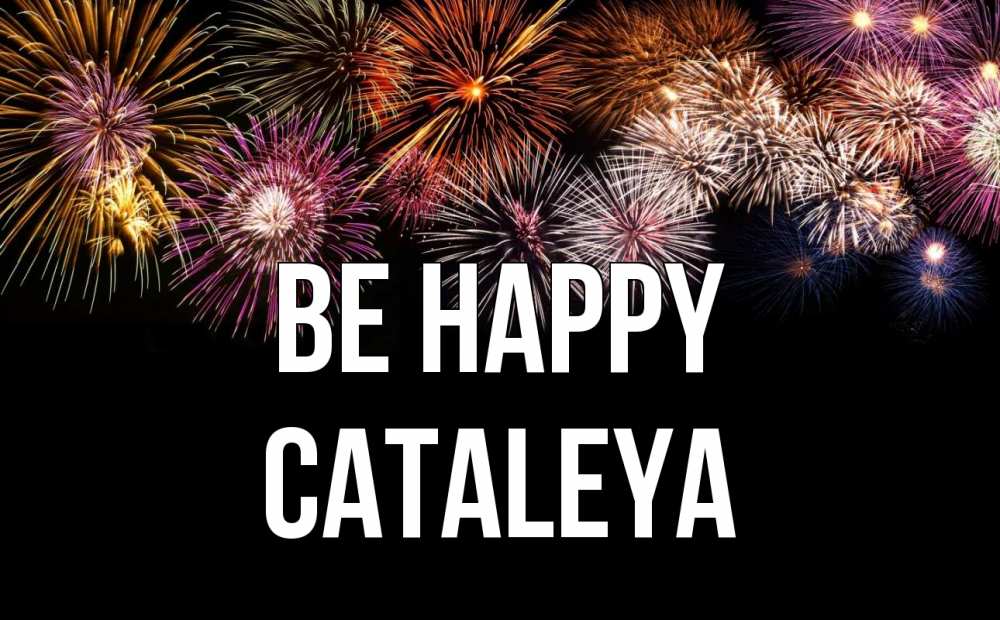 Greetings card с именем, Cataleya Be happy Фейрверг 1 Greetings with text for free download 